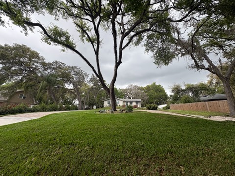 Wide view across the open front lawn toward the house